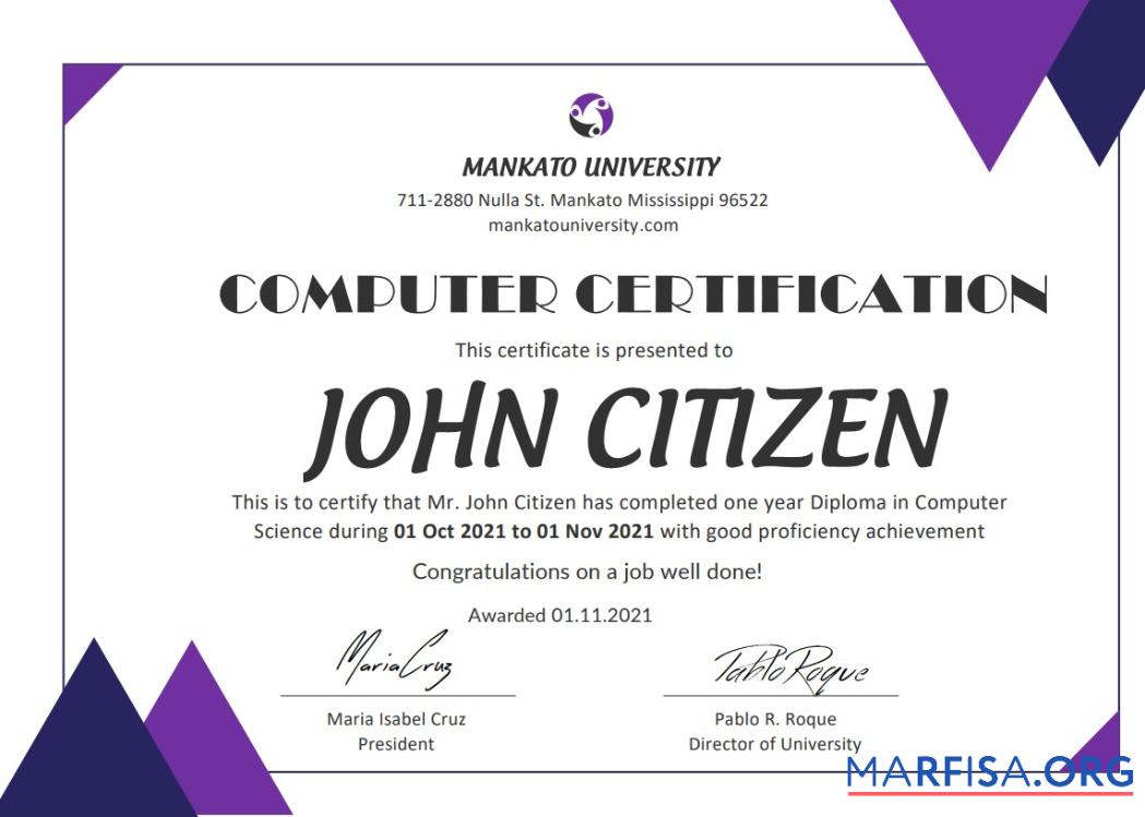 Printable USA Computer Diploma Certificate template in Word and PDF format